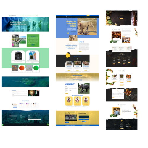Web Development company